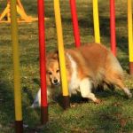 Lovely Leonie von den Rethörnchen