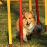 Lovely Leonie von den Rethörnchen