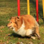 Lovely Leonie von den Rethörnchen