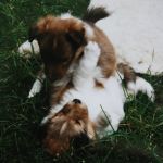 Lovely Leonie von den Rethörnchen