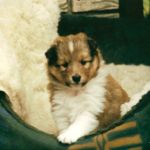 Lovely Leonie von den Rethörnchen