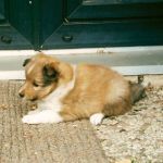 Lovely Leonie von den Rethörnchen