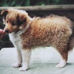 Lovely Leonie von den Rethörnchen