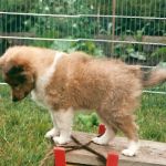 Lovely Leonie von den Rethörnchen