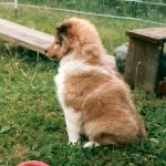 Lovely Leonie von den Rethörnchen