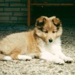 Lovely Leonie von den Rethörnchen