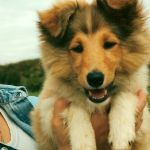 Lovely Leonie von den Rethörnchen