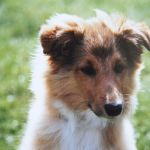 Lovely Leonie von den Rethörnchen