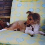 Lovely Leonie von den Rethörnchen