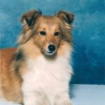 Lovely Leonie von den Rethörnchen